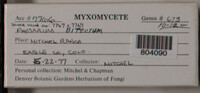 Image Associated With the Occurence